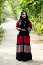 Abaya E Mehsoon V2 - Image 2