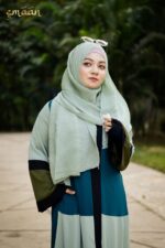 Abaya E Mehsoon V2