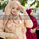 Shahzadi Gown